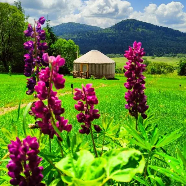 Jurty nad Sanem, hotel u gradu Lutoviska