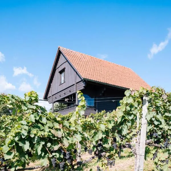 SCHILCHERLANDLEBEN - Weingartenhaus, hotel u gradu 'Sankt Stefan ob Stainz'