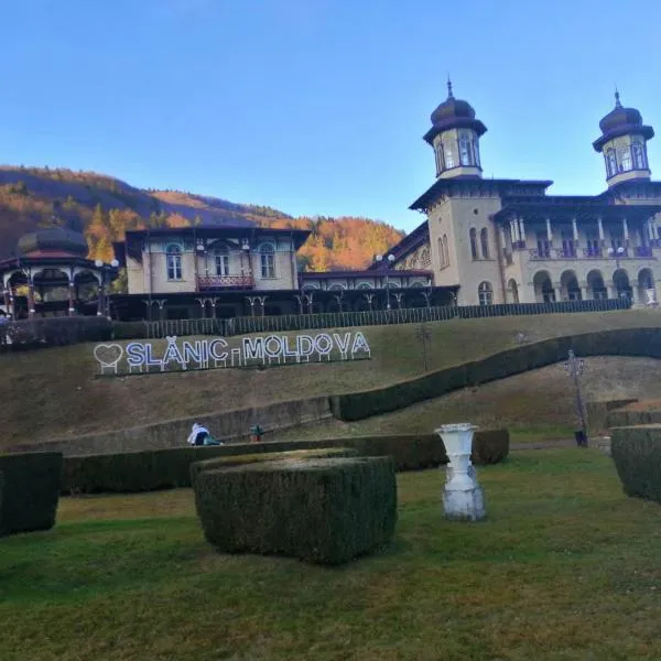 Natura Slanic Moldova，Poiana Sărată的飯店