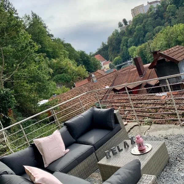 FELIX LIVING 7, modern & cozy, geilste Dachterrasse der Stadt, 7 Schlafzimmer, hotel in Passau