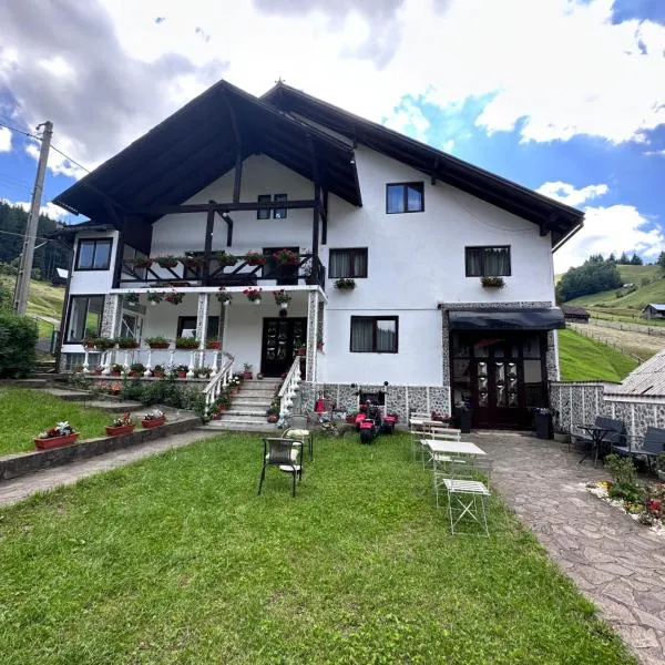 Pensiunea Rodica, hotel in Moieciu de Sus