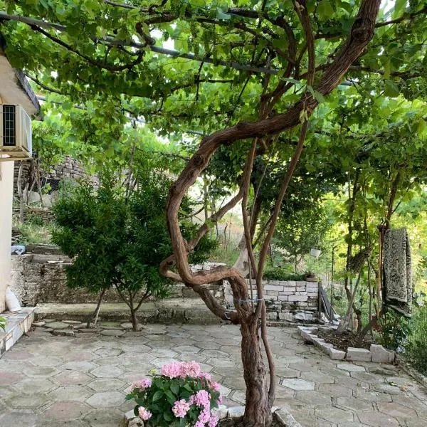 Isaraj Guest House, hotel v destinaci Gjirokastër