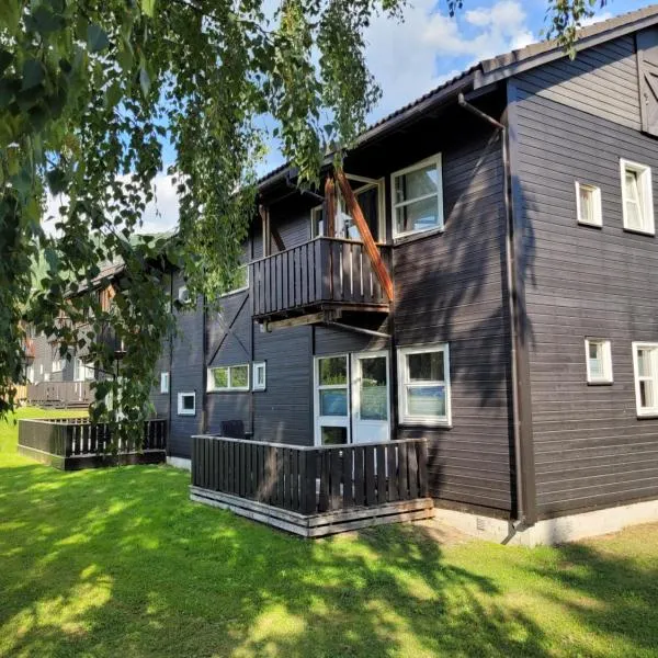 Friends & Family Apartment at Hafjell Alpinlandsby/Øyer Center, hotel v destinaci Hafjell