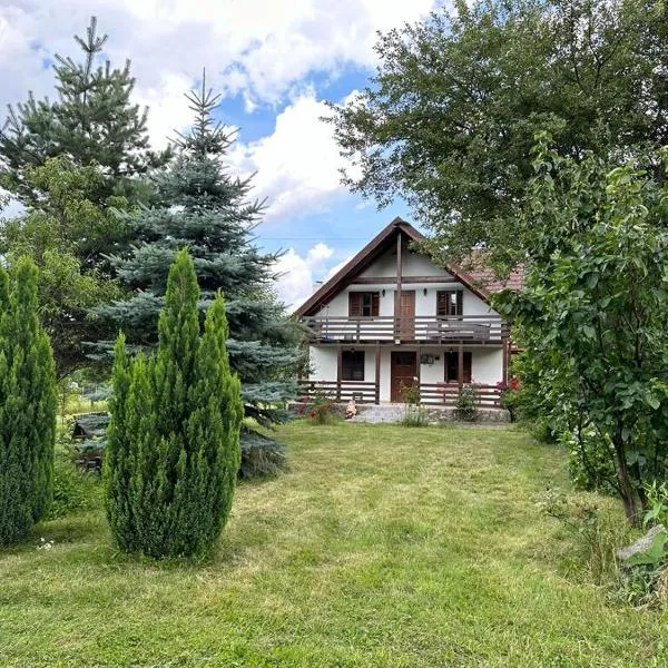 Cristian, hotel in Copăcel