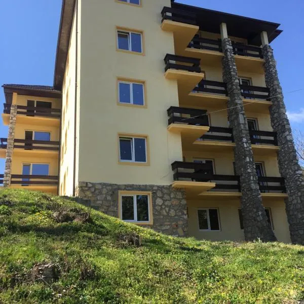 Casa Bocan, hotel en Geoagiu Băi