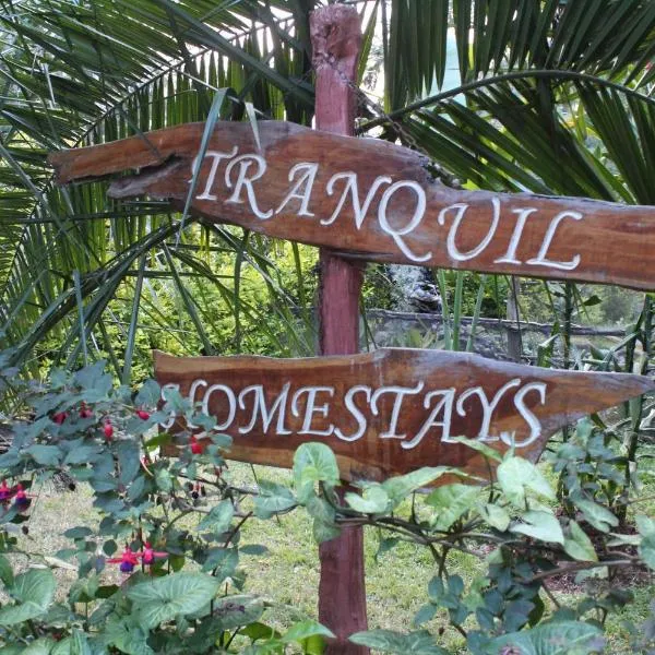 Tranquil Homestays, hotel in Kabaru
