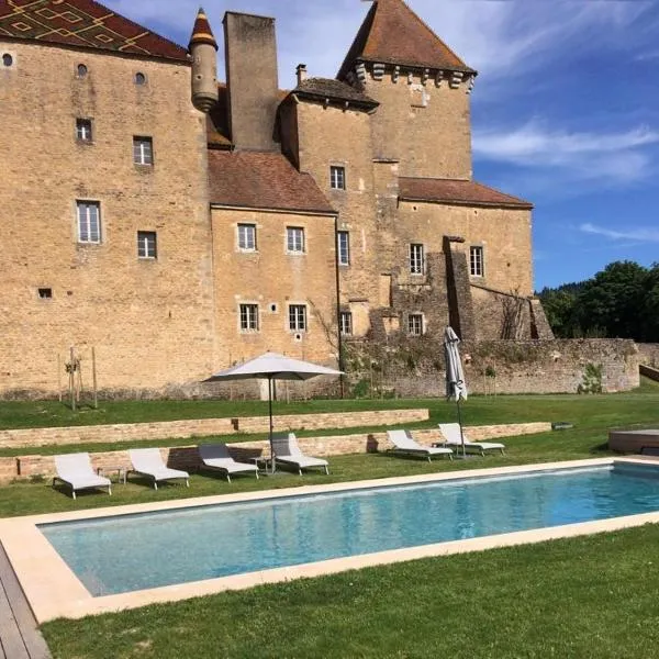 Château de Pierreclos, hotel in Mazille