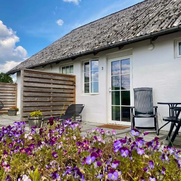 Bøgelund Sleep-in, hotel i Karup