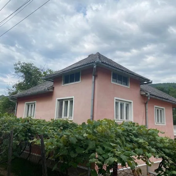 Casa IBT, hotel v destinaci Şuncuiuş