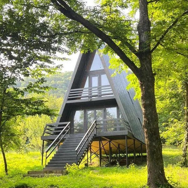 Gurgeniani Twin Cottages, hotel v destinaci Lagodechi