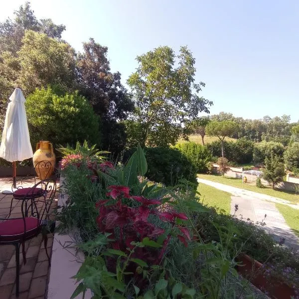 The Olive Grove Roma Guest House, hotel in Rome