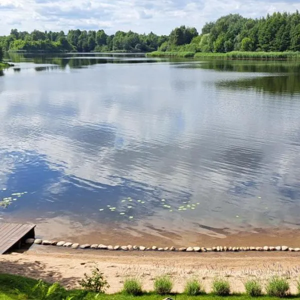 Namelis po beržais, hotel en Pakruopiskiai