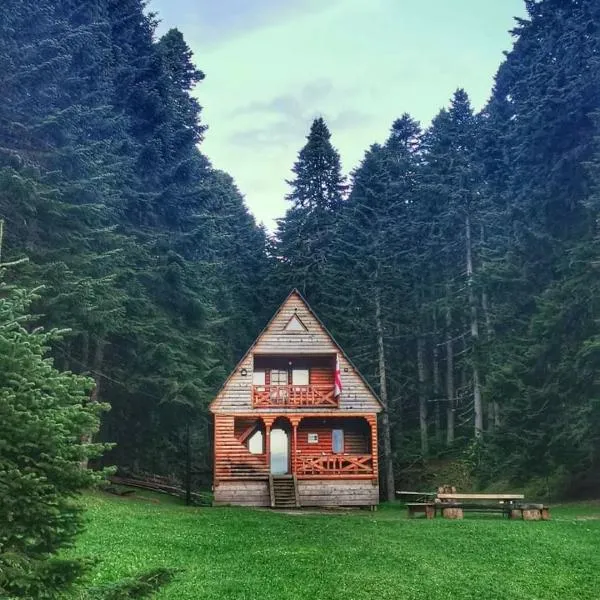Cottage Sochi, hotel v destinaci Ambrolauri