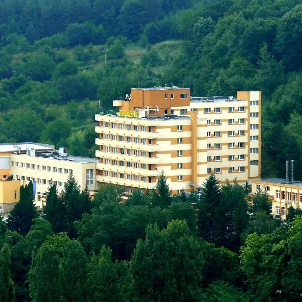Hotel Germisara, hotel v destinaci Geoagiu Băi