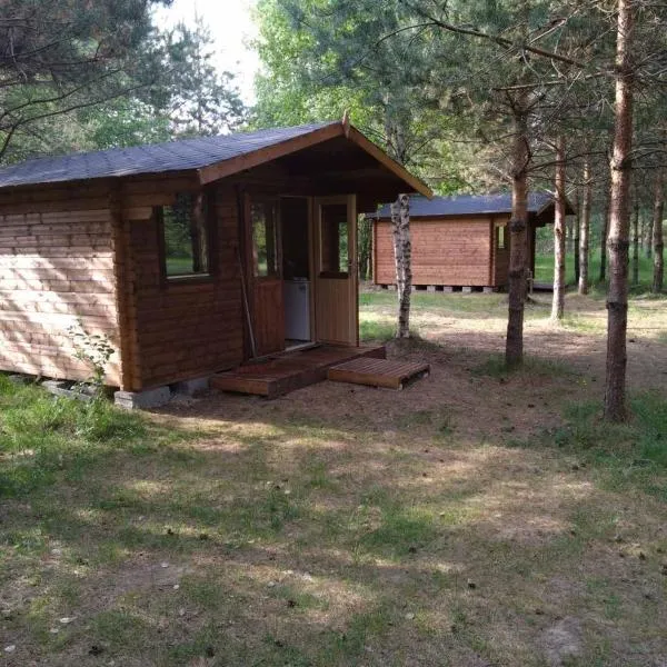 Домик на Чудском озере, hotel en Katase