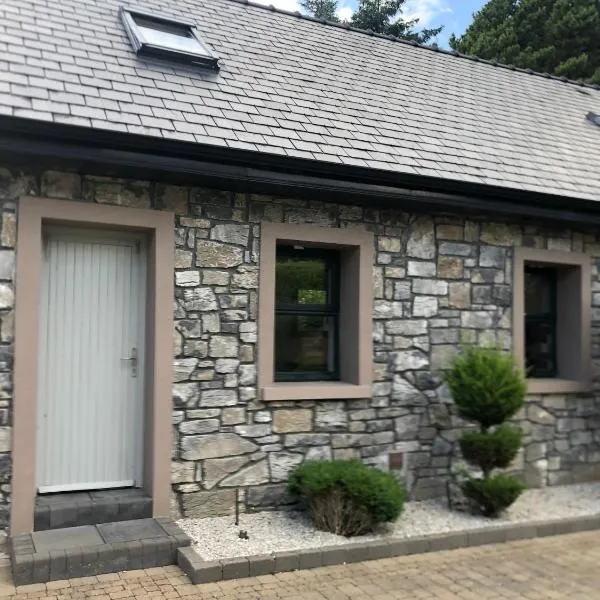 Sióg, hotel v destinaci Oughterard