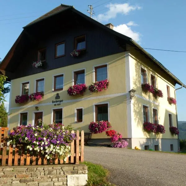 Ferienwohnungen Bachergut, hotel v Mariapfarru