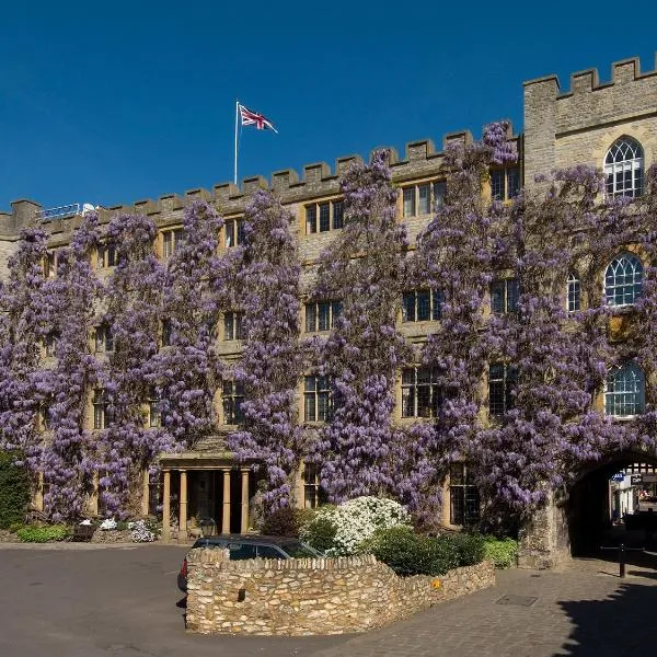 Castle Hotel, hotel in Creech Saint Michael