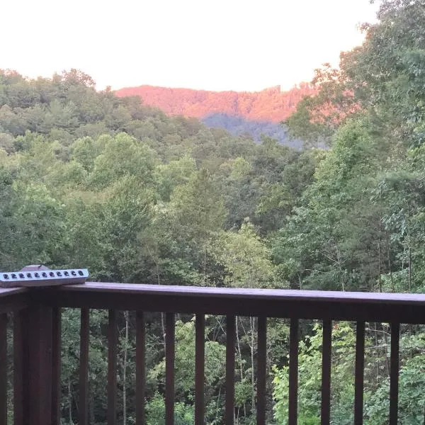 Love Nest in Blue Ridge, hotel in Cherry Log