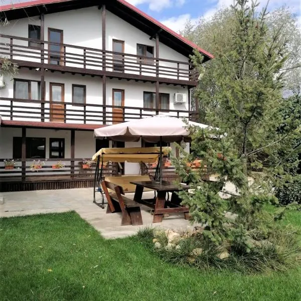 Casa Carp Calarasi, hotel v destinácii Călăraşi
