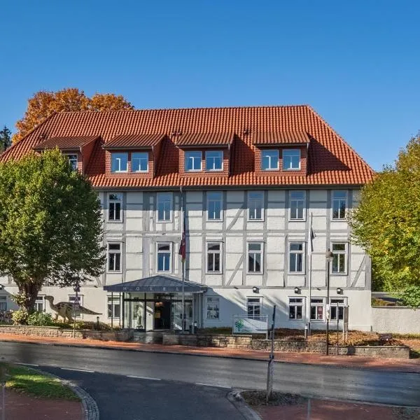 Parkhotel Bad Rehburg, hotel in Mardorf