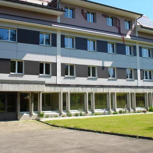 Allegro Alpin Lodge, hotel in Einsiedeln