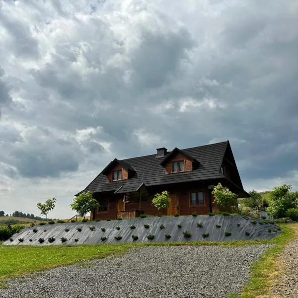 Cabanówka, hotel v destinaci Hoczew