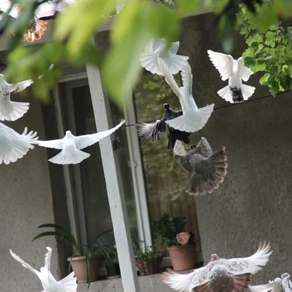 Hayk B&B (in Sanahin), hotel v destinaci Alaverdi