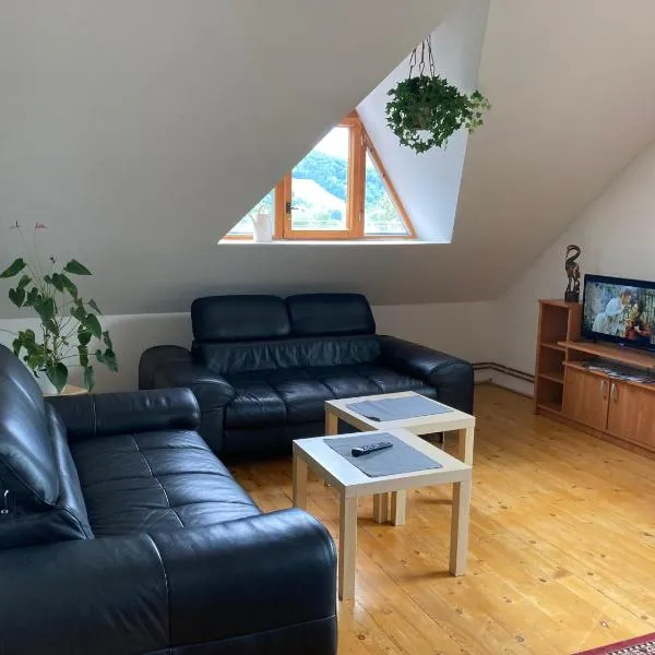 Apartmán pod Lázněma, hotel v Jeseníku