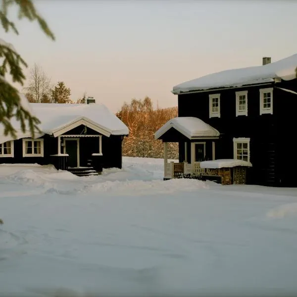 Försgården Fjällpensionat, hotell i Kläppen