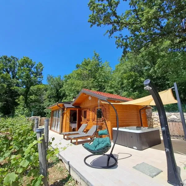 Vineyard house, hotel a Grižane