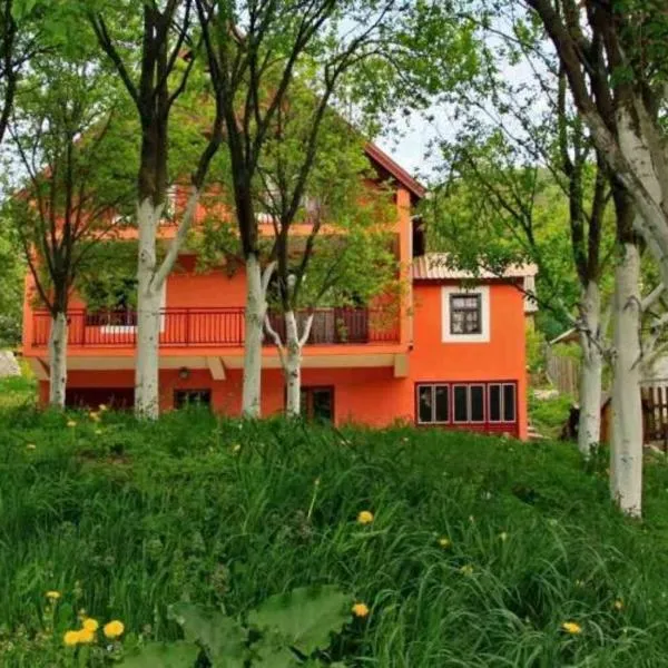 Tijanić Apartment Piva Lake, hotel in Pluzine