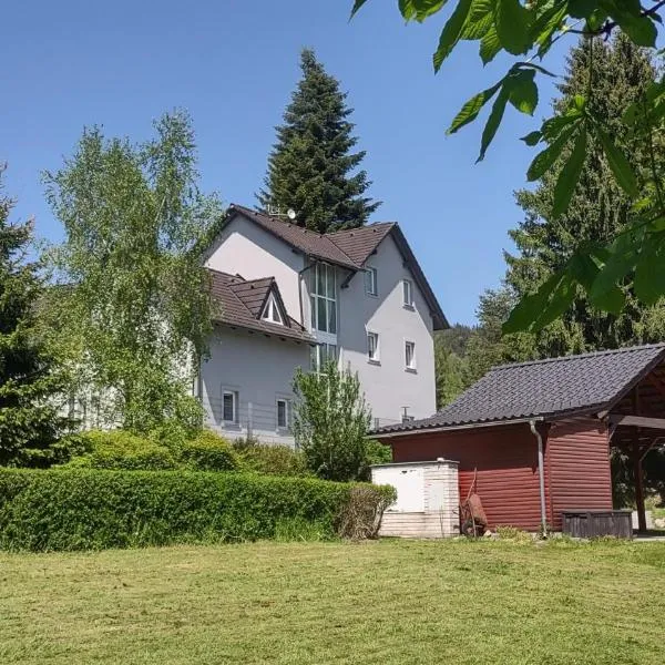 Apartmán Lipno, hotel en Lipno nad Vltavou