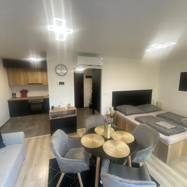 Lake View Penthouse, hotel in Hajdúszoboszló