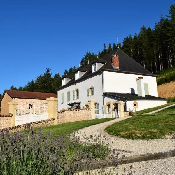 Le Domaine de la Source, hotel in Saint-Bonnet-des-Bruyères