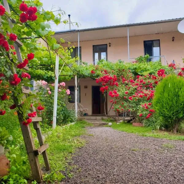 Guesthouse Mtkvari, hotel v destinácii Nak'alak'evi