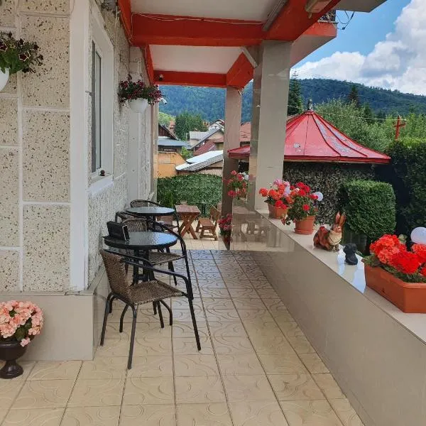 Casa Marian, hotel in Buşteni