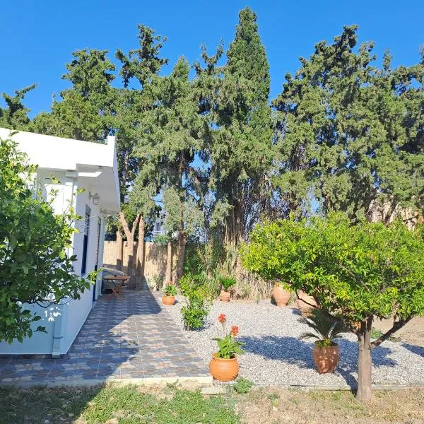 Déjà Blue, hotel v destinaci Archangelos