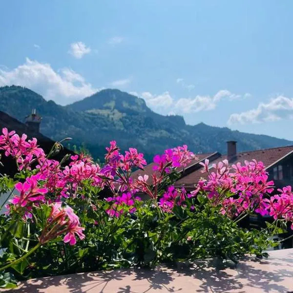 Berge, Wandern, Erholung pur! Fewo Tinka-Haus Katja, hotel in Bad Hindelang