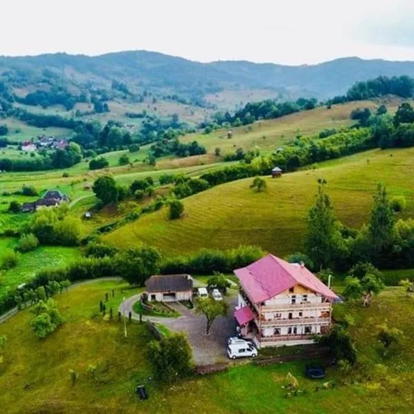 PENSIUNEA PLAI STRABUN, hotel in Petrova