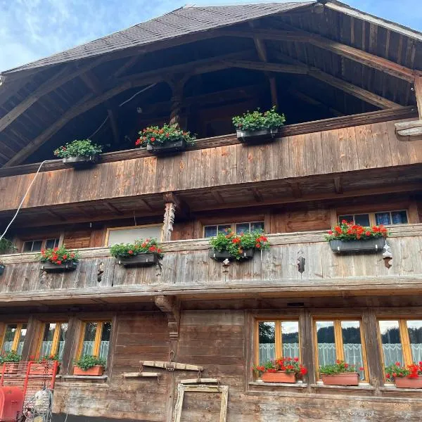 Pony Hof, hotel v destinaci Heiligenschwendi