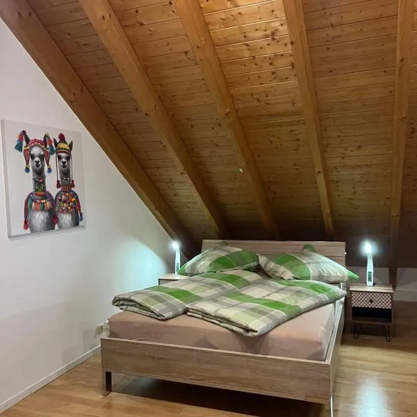 Ferienwohnung Zentral in Lörrach - KONUS Gästekarte inklusive, hotel u gradu Lerah