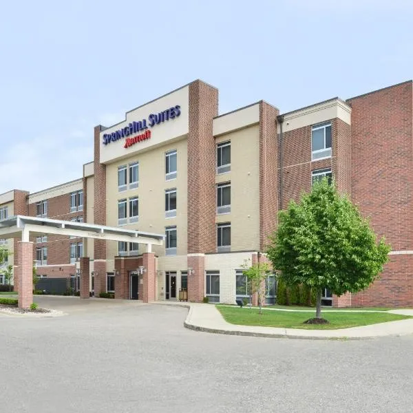 Springhill Suites by Marriott Detroit Metro Airport Romulus, hotel in Romulus