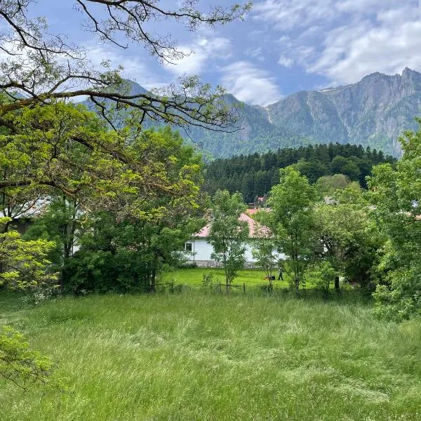 Villa Forrest Bușteni, hotel u gradu 'Buşteni'