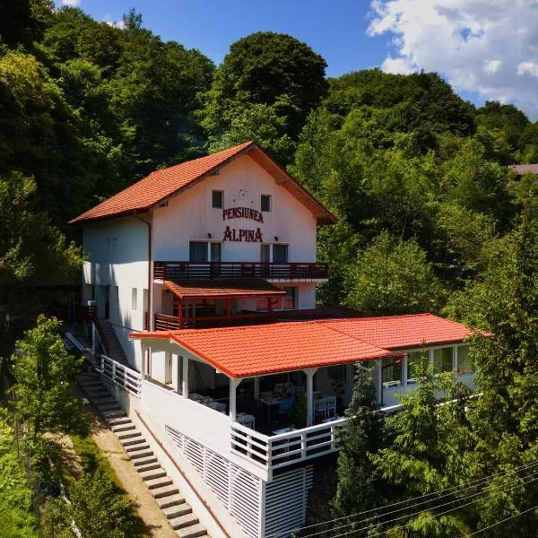 Pensiunea Alpina, hotel in Malaia