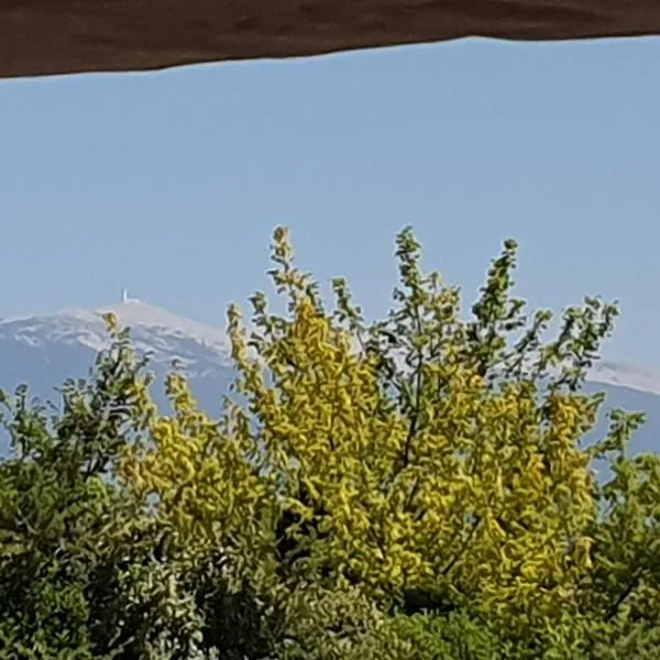 Pura vida – hotel w mieście Mazan