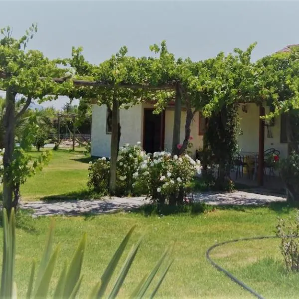 Conectar con la naturaleza te hará más feliz, hotel sa Melipilla