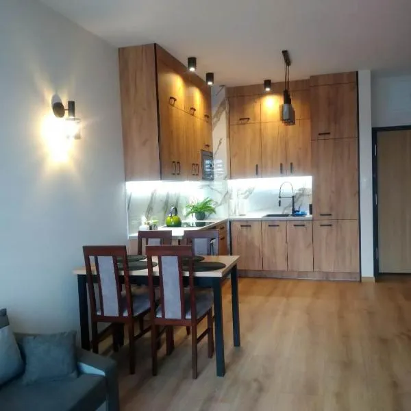 Uniejów Apartament, hotel in Uniejow