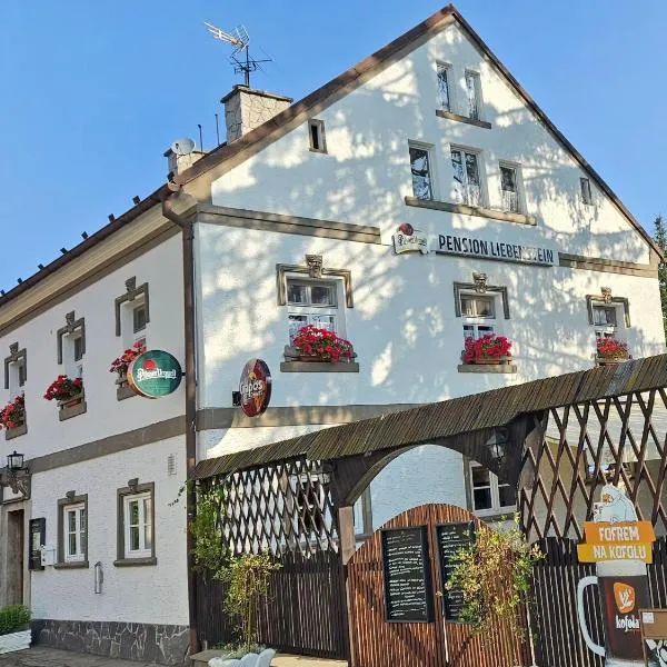 Restaurant & Pension Liebenstein, hotell i Libá