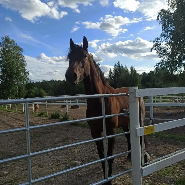 BB Polle - with the horse view, hotel in Vanhamäki